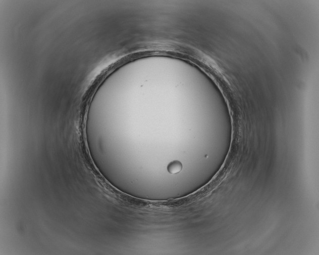 X0000113141312200909181721