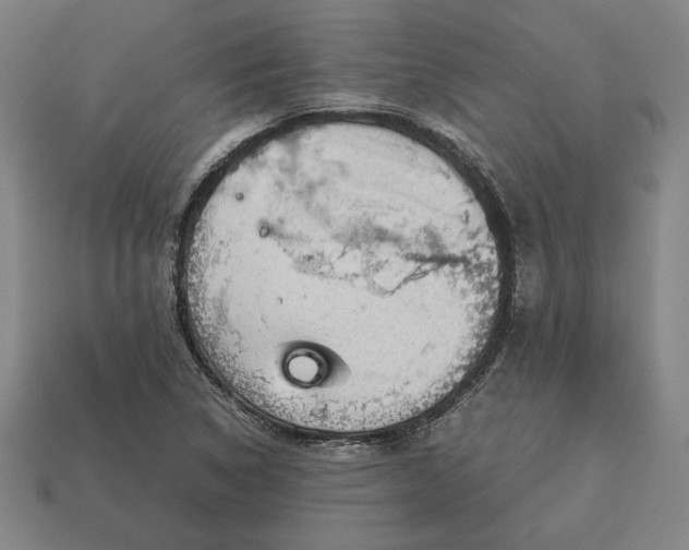 X0000113141314200909181721