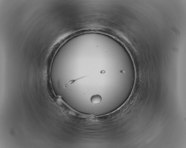 X0000113141315200909181721