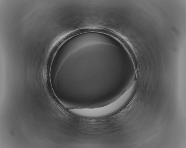 X0000113141319200909181721