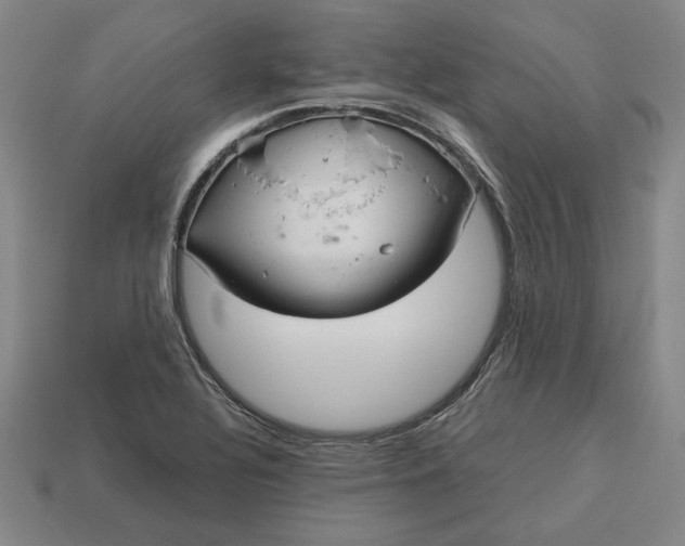 X0000113141320200909181721