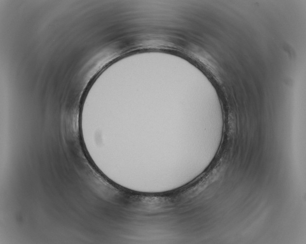 X0000113141322200909181721