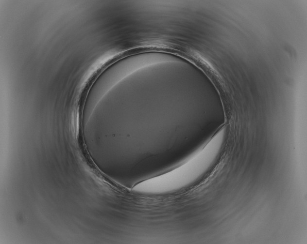 X0000113141323200909181721