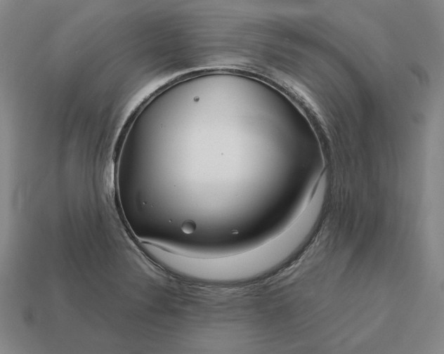 X0000113141324200909181721