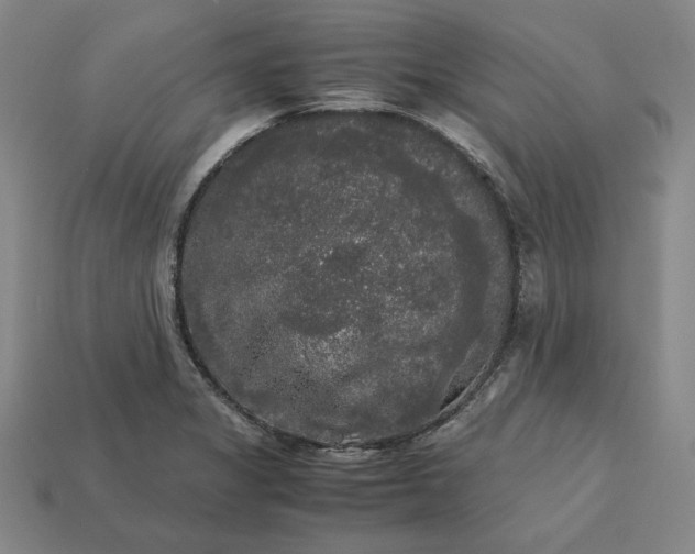 X0000113141325200909181721