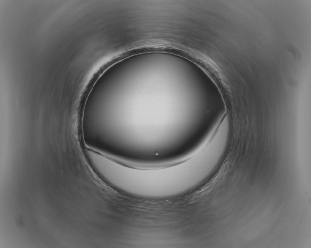 X0000113141326200909181721