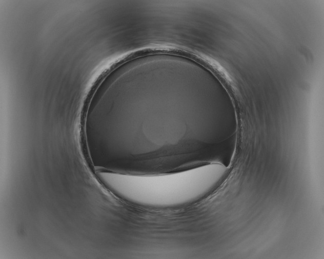 X0000113141327200909181721