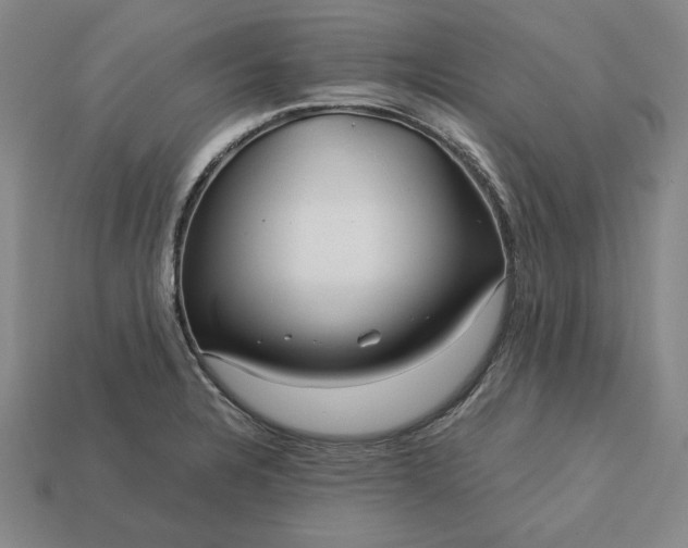 X0000113141328200909181721