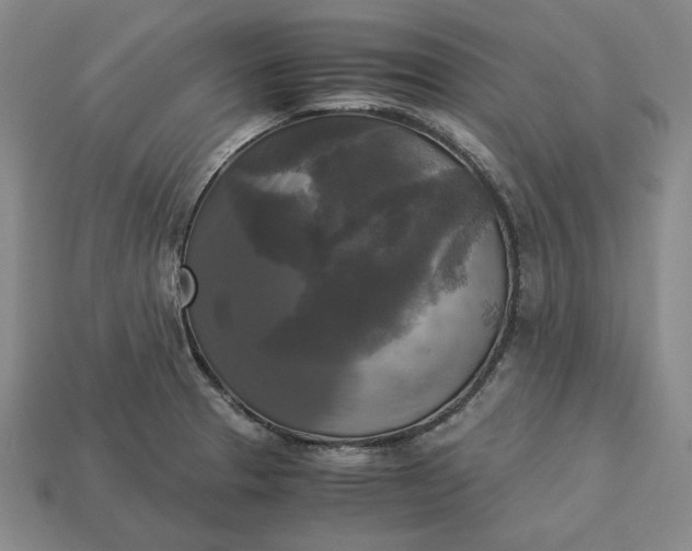 X0000113141329200909181721