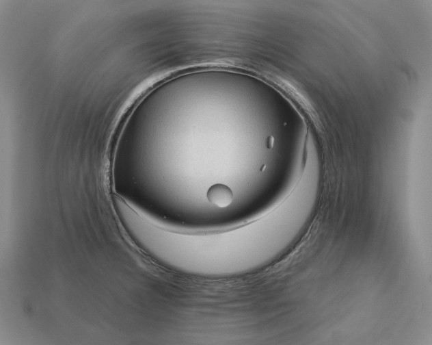 X0000113141332200909181721