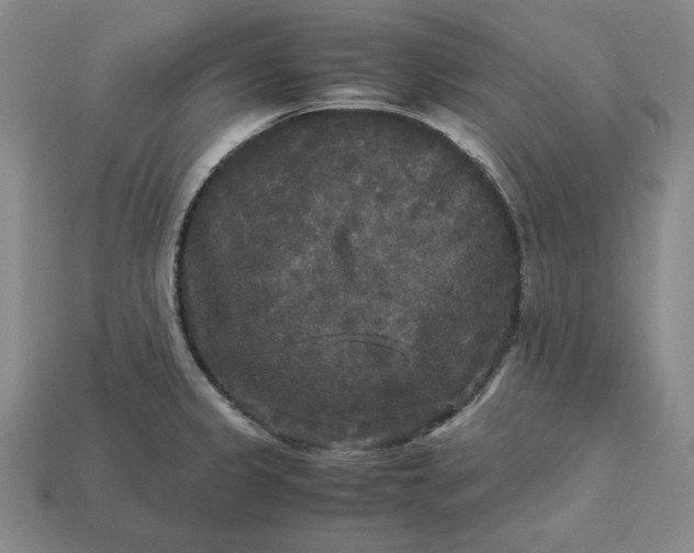 X0000113141333200909181721