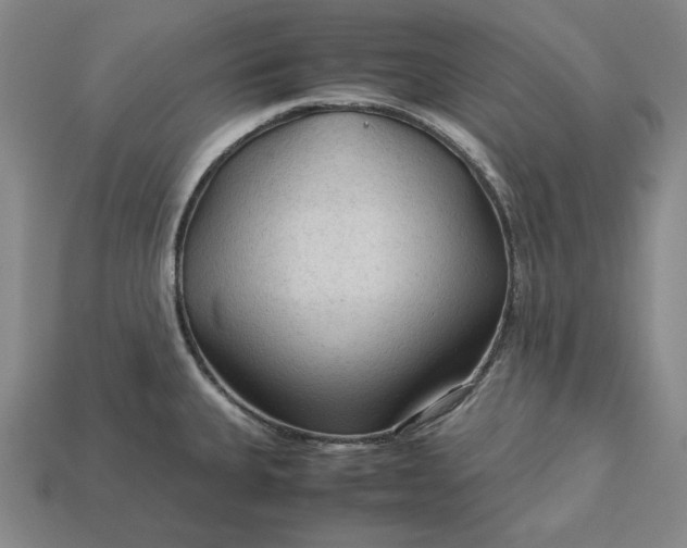 X0000113141335200909181721