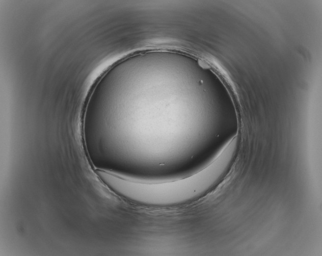 X0000113141336200909181721