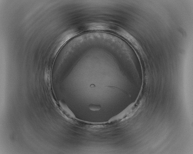 X0000113141337200909181721