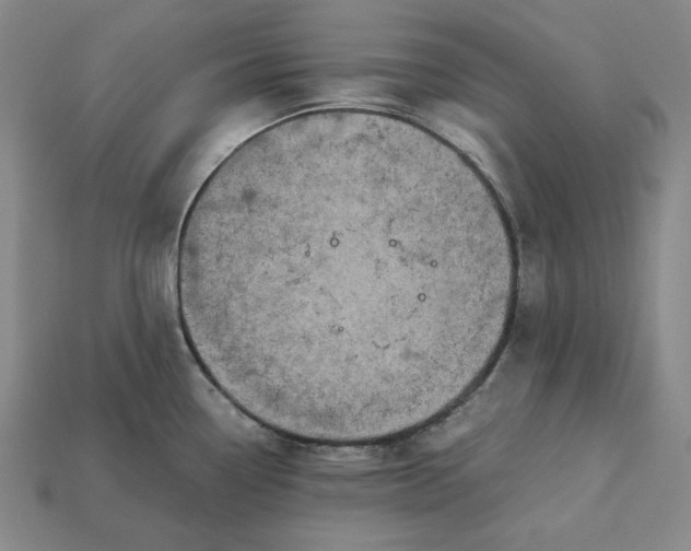 X0000113141338200909181721