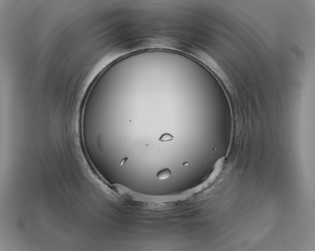 X0000113141339200909181721