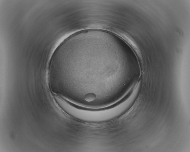 X0000113141340200909181721