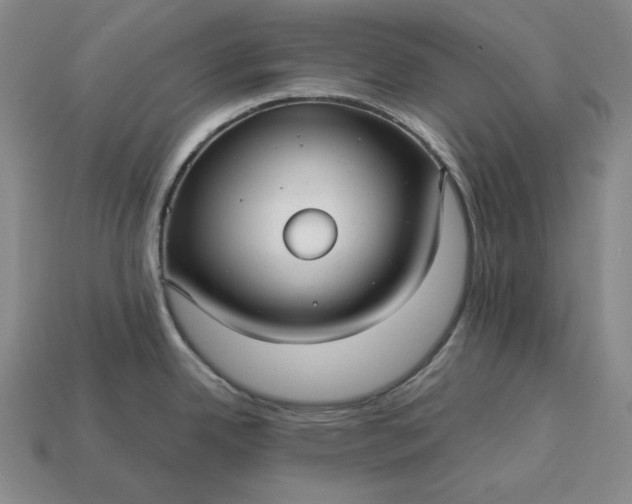 X0000113141342200909181722