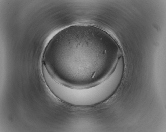 X0000113141344200909181722