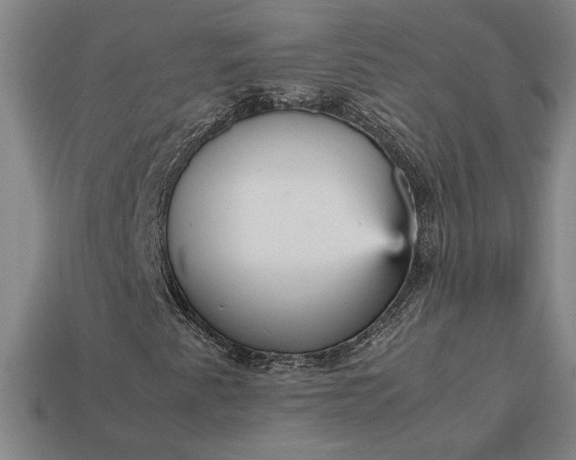 X0000113141345200909181721