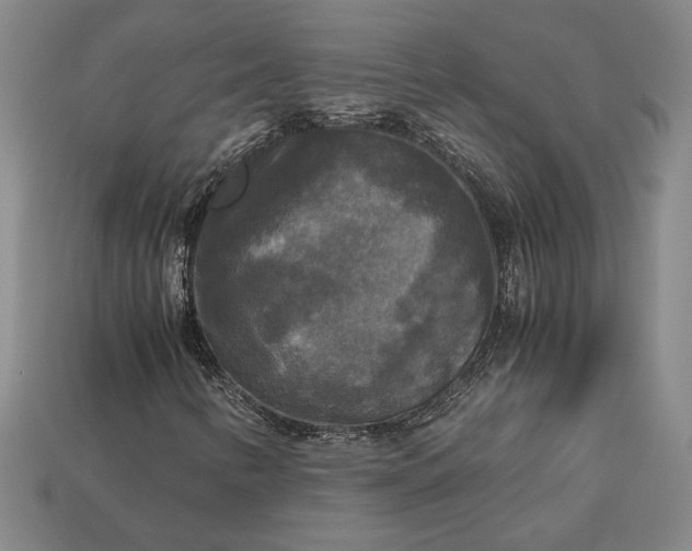 X0000113141346200909181721