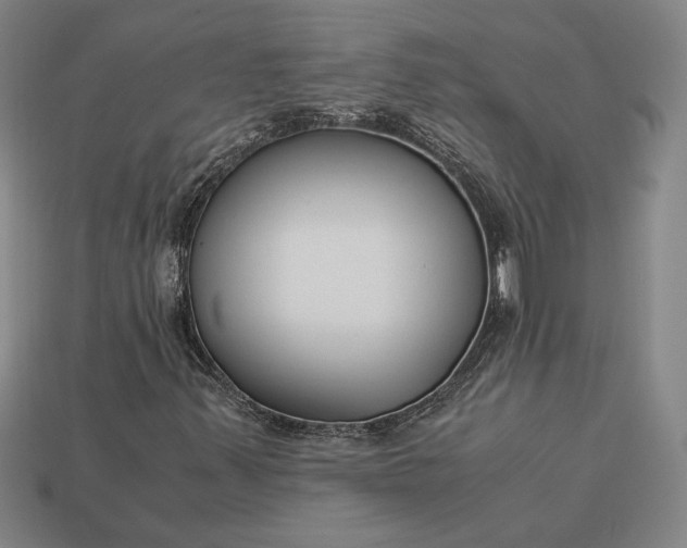 X0000113141347200909181721