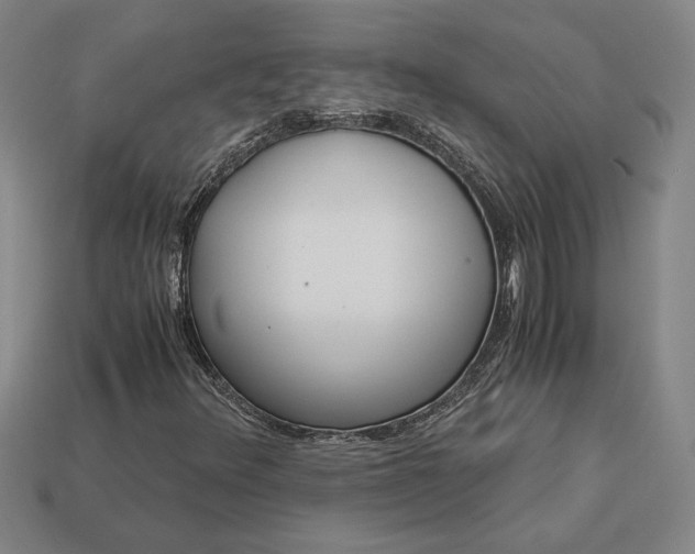 X0000113141348200909181721