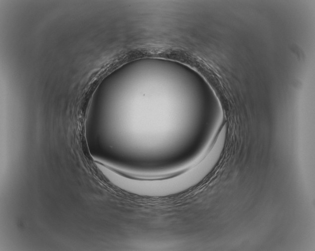 X0000113141349200909181721