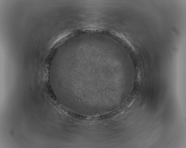 X0000113141350200909181721