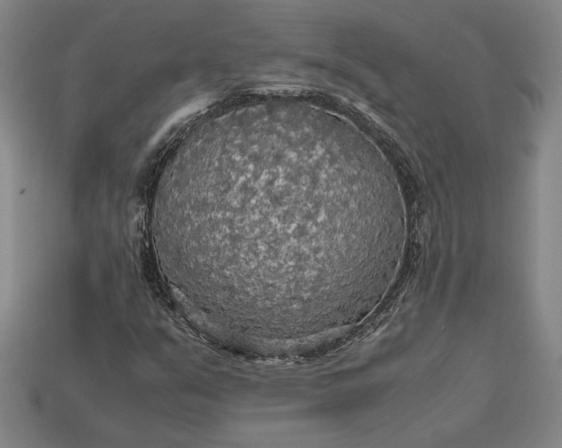 X0000113141351200909181721