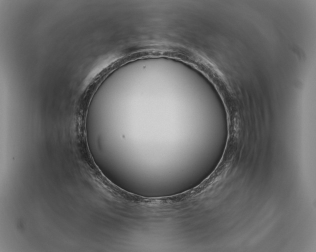 X0000113141352200909181721