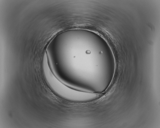 X0000113141353200909181721