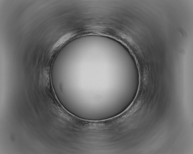 X0000113141354200909181721