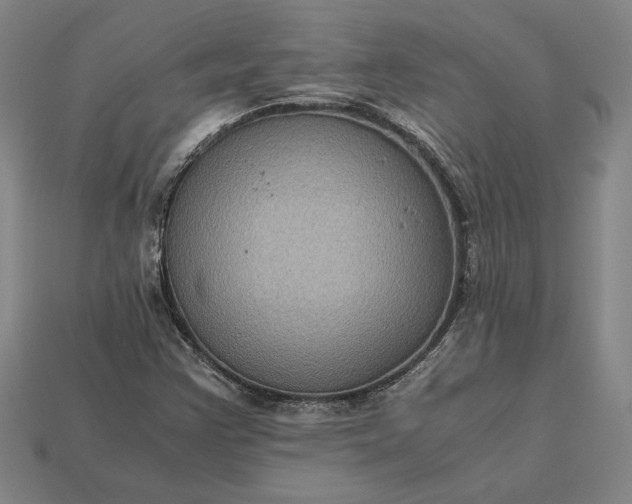 X0000113141355200909181721