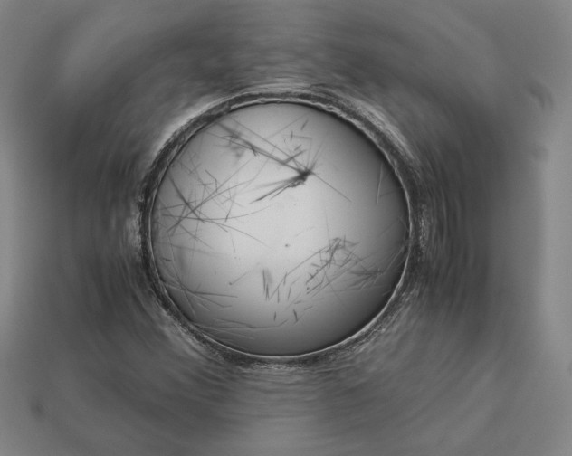 X0000113141356200909181721