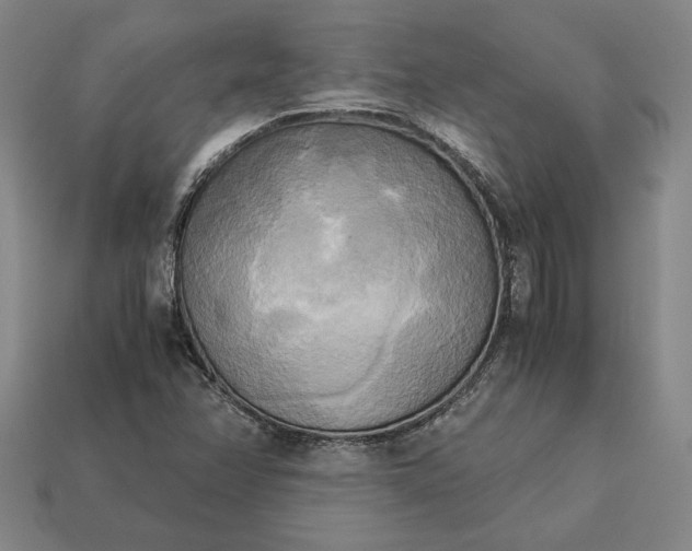 X0000113141358200909181721