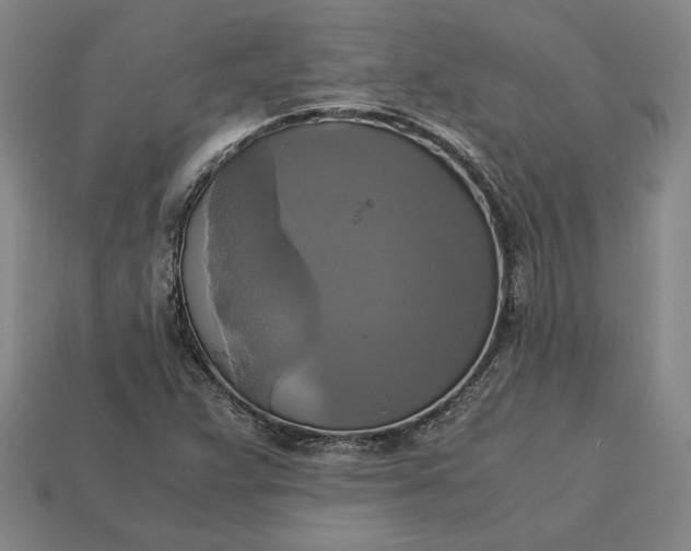 X0000113141359200909181721