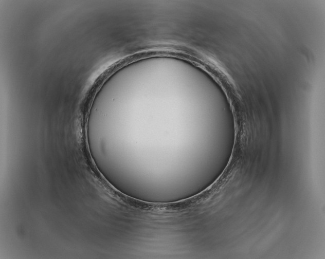 X0000113141360200909181721