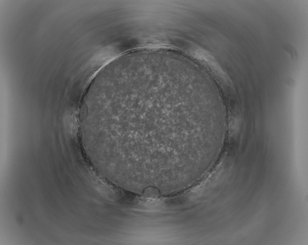 X0000113141361200909181721