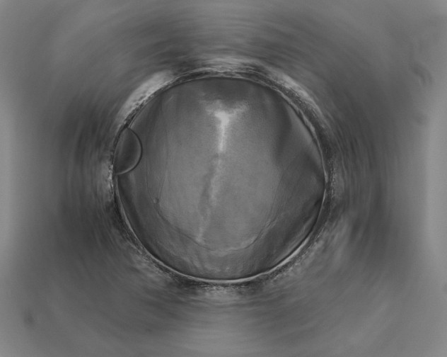 X0000113141362200909181721