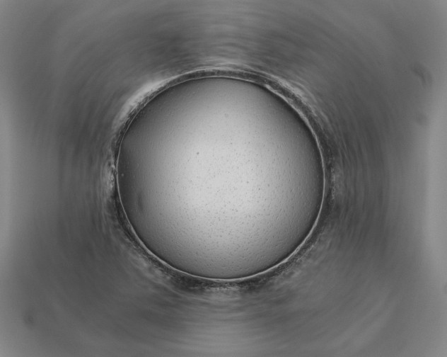 X0000113141363200909181721