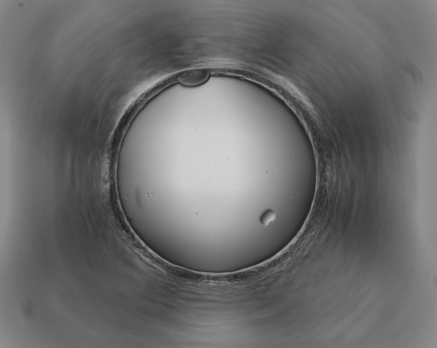 X0000113141364200909181721