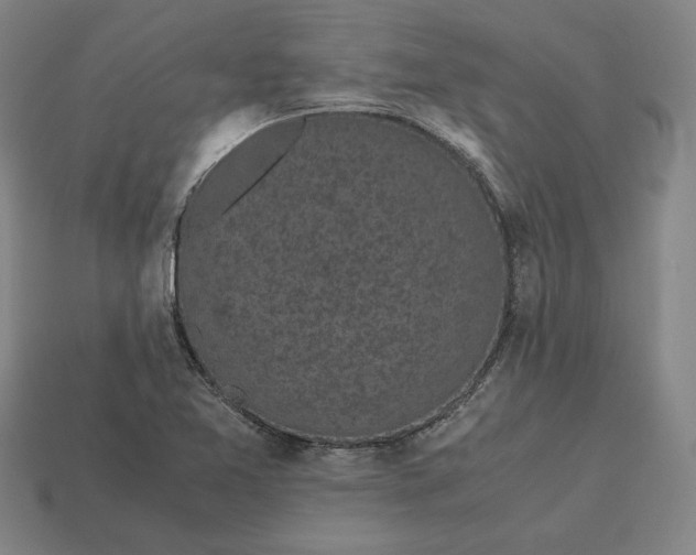 X0000113141365200909181721