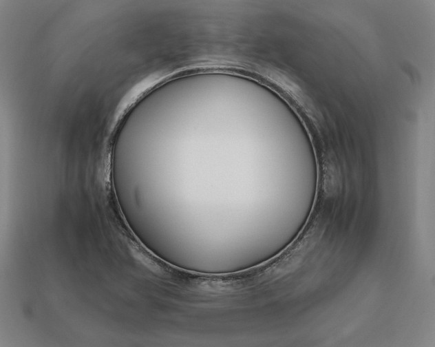 X0000113141366200909181721