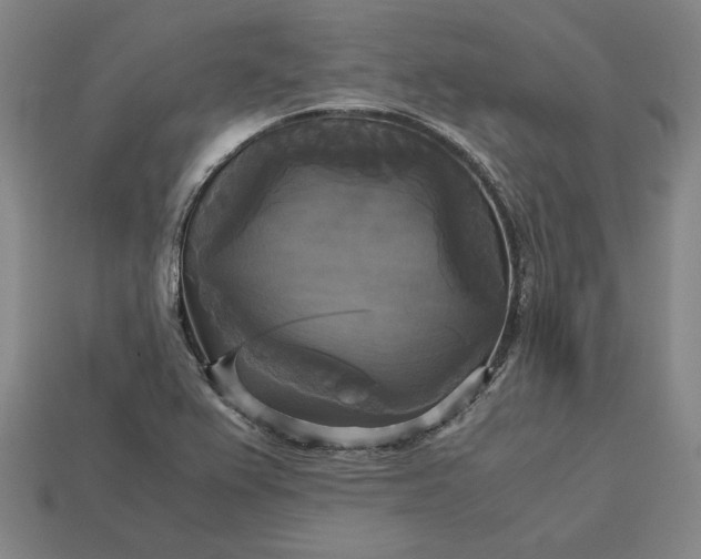 X0000113141367200909181721