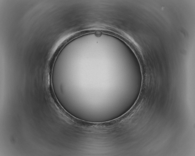 X0000113141368200909181721