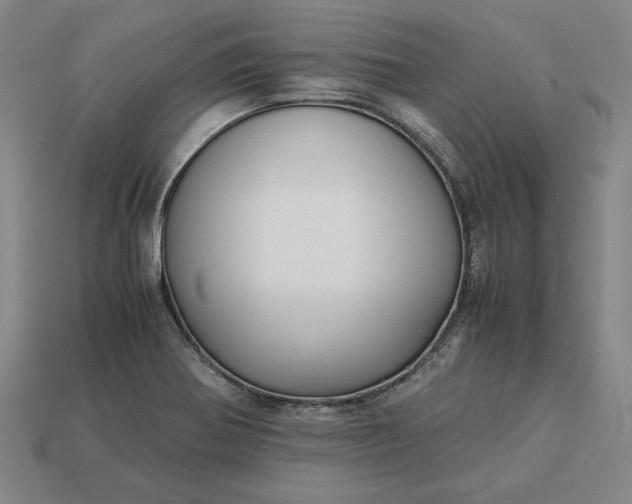 X0000113141370200909181721