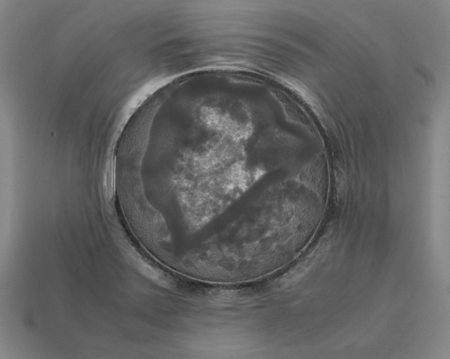 X0000113141371200909181721