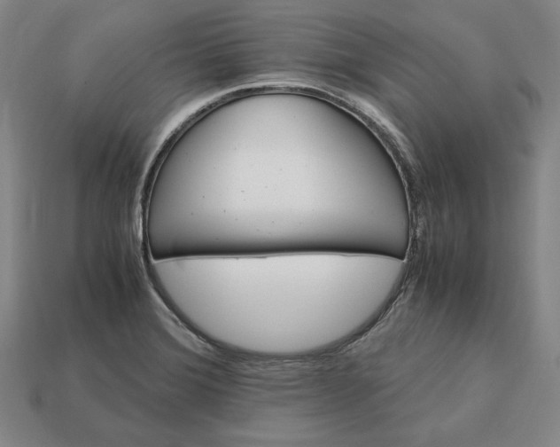 X0000113141372200909181721