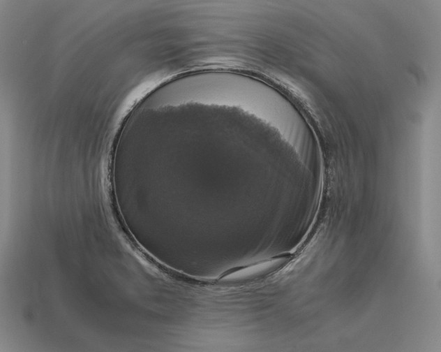 X0000113141373200909181721